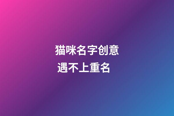 猫咪名字创意 遇不上重名